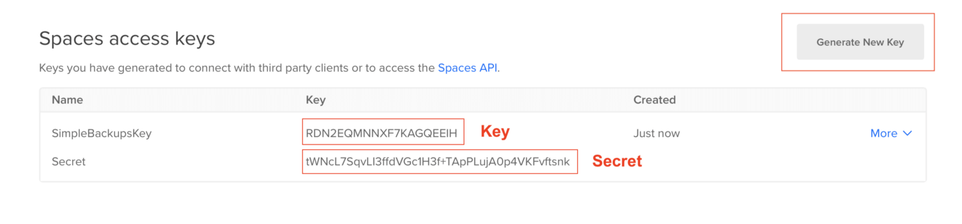 Step 4 DigitalOcean Spaces Credentials