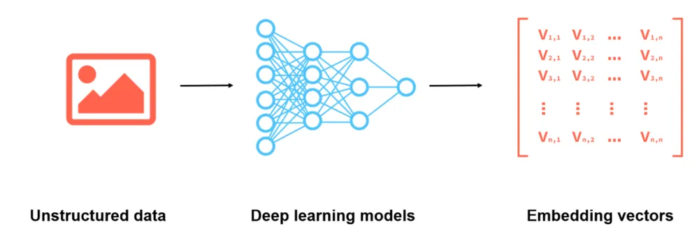 Vector Embeddings