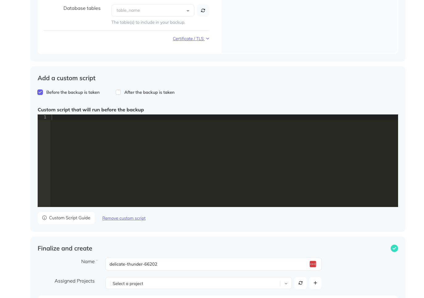 Custom Script screenshot