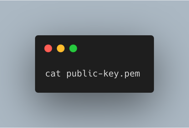backup encryption "backup encryption"