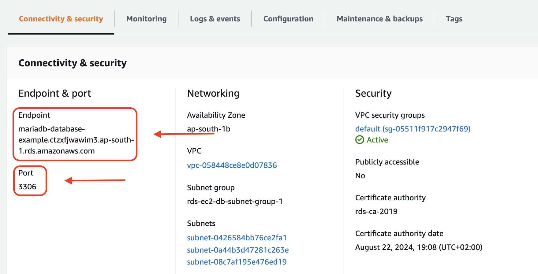 Find database information in MariaDB AWS RDS