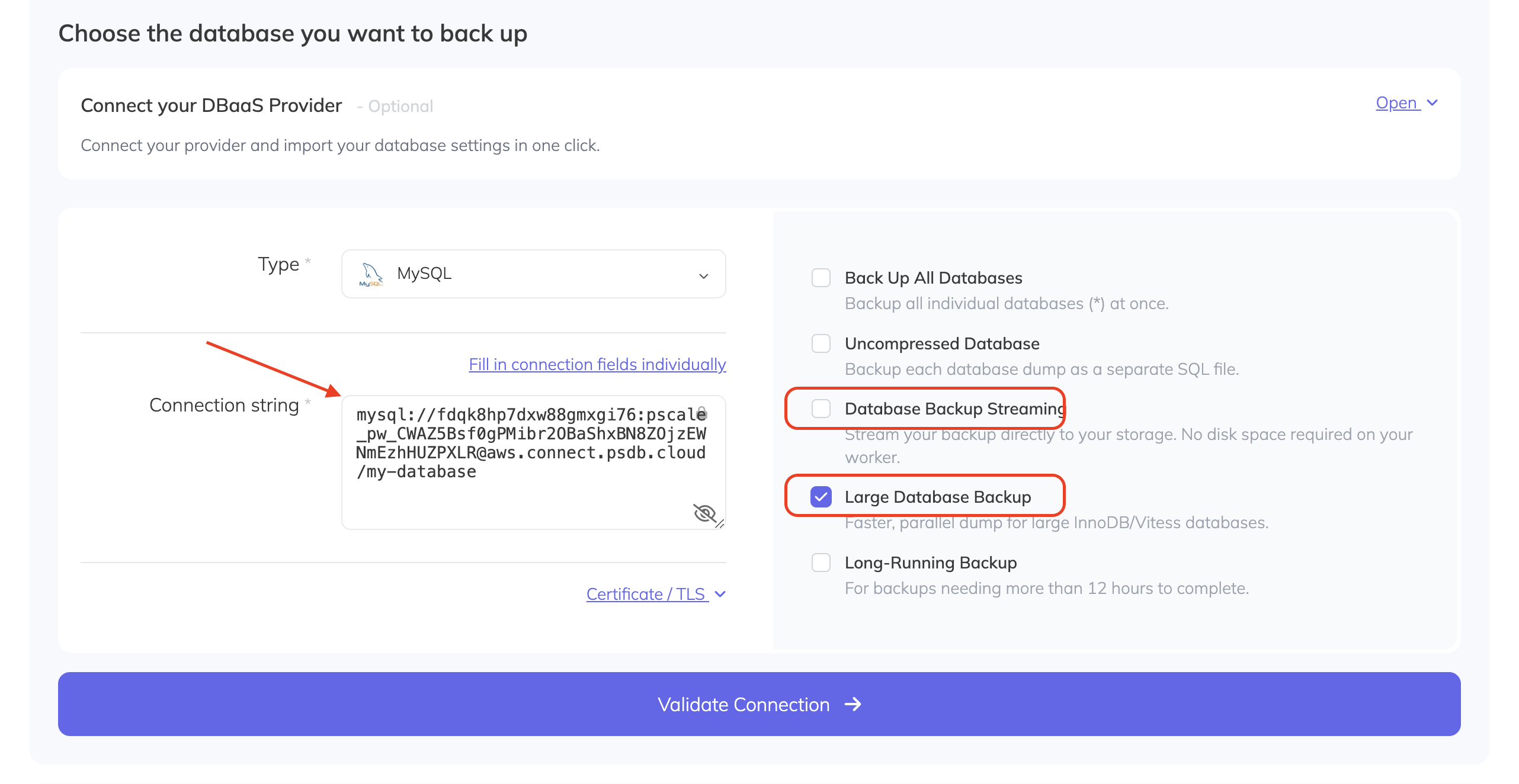 SimpleBackups backup creation options