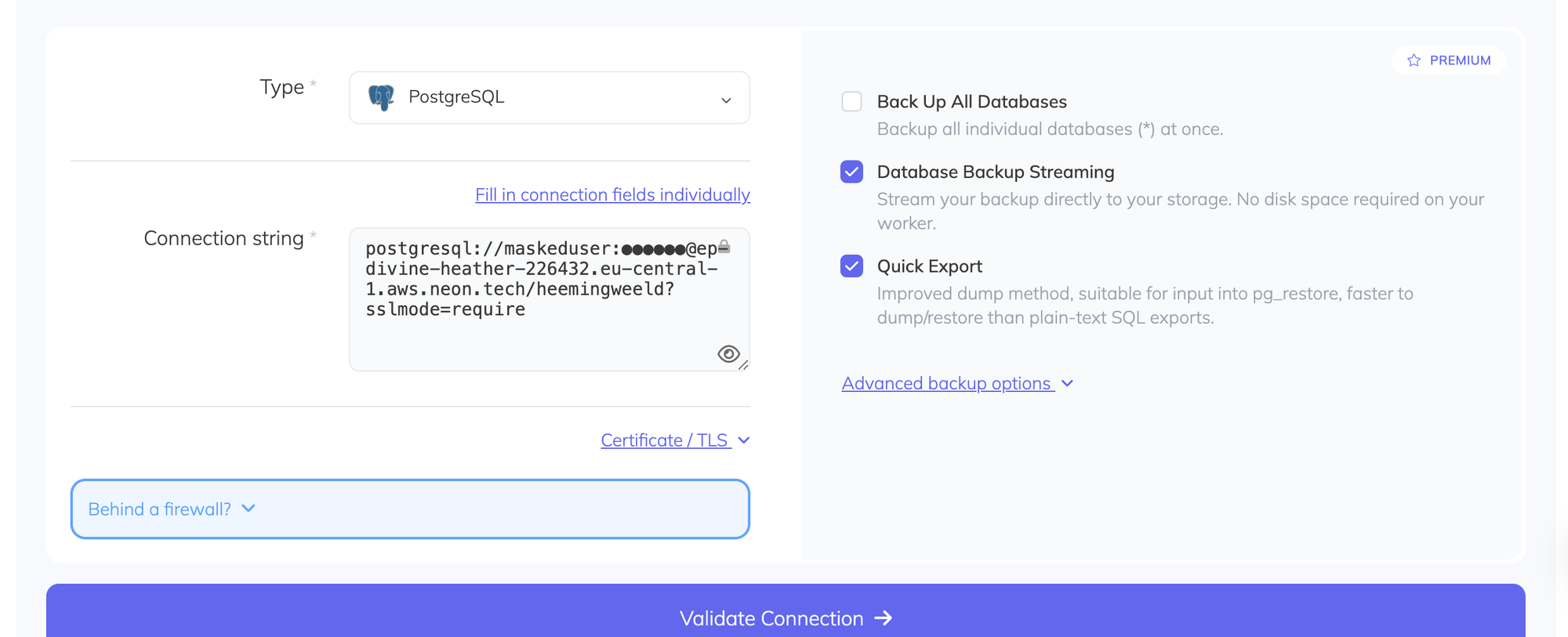 SimpleBackups Connection String